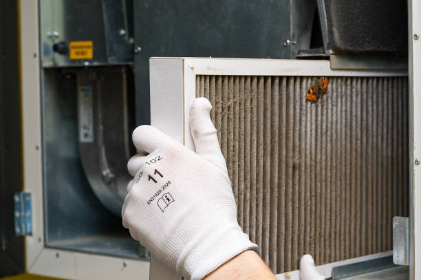 Best Air Vent Cleaning Services  in Mason Neck, VA